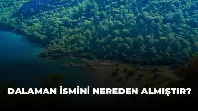 Dalaman ismini nereden almıştır?